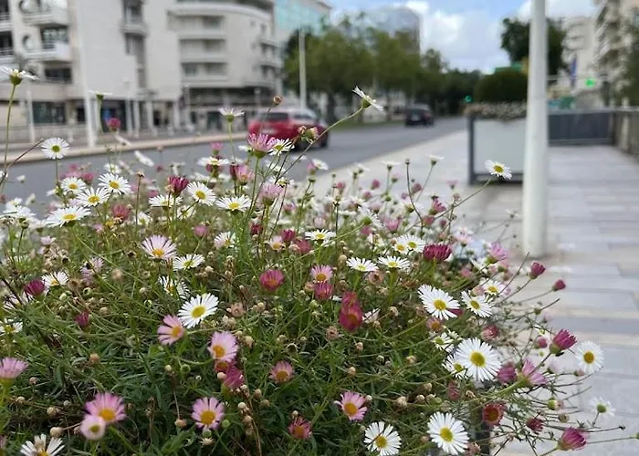 Appartement Avec Balcon Sur Jardin Et Parking Prive *